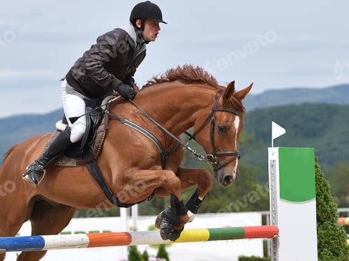 Preview: Show Jumping
