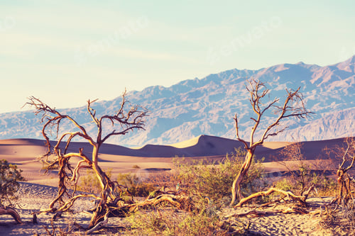 Preview: Sand dunes in California