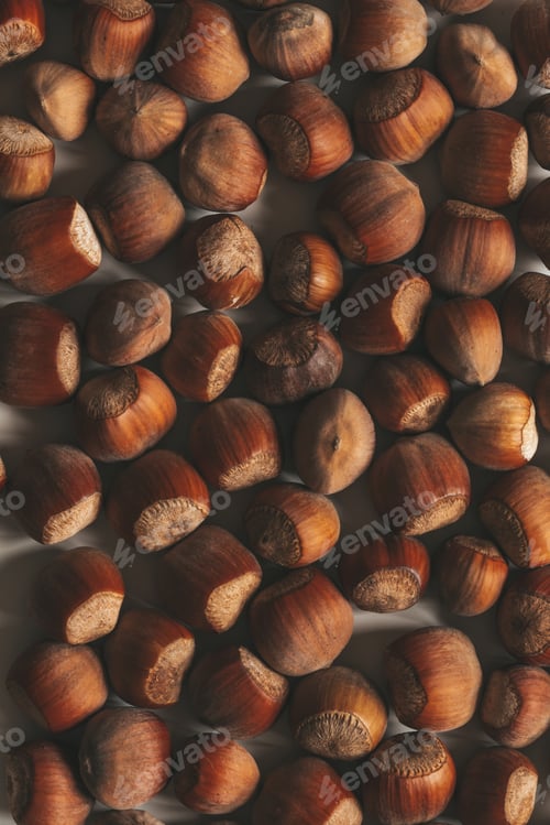 Preview: Collection of hazelnuts from above
