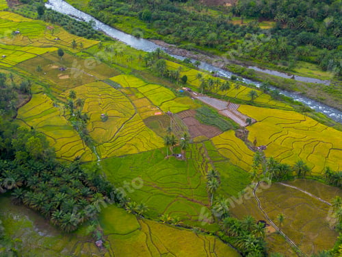 Preview: beautiful morning aerial view of Indonesia with mountains and tropical forests