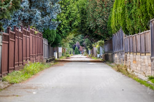 Preview: Scenic Residential Alleyway in Vancouver, BC, Lined with Lush Greenery
