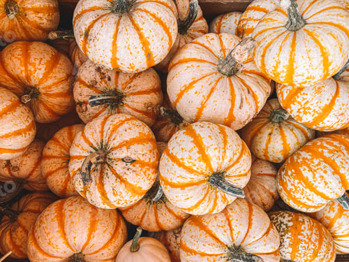 Preview: Pumpkins