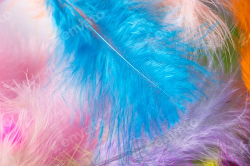 Preview: Many light multi-colored feathers for a carnival costume.