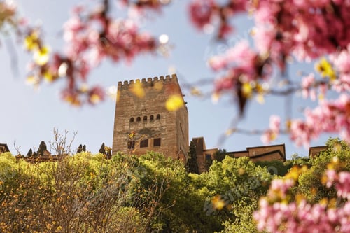 Preview: Alhambra palace, Granada, Andalusia, Spain