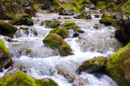 Preview: Stream with waterfall and mossy stones around