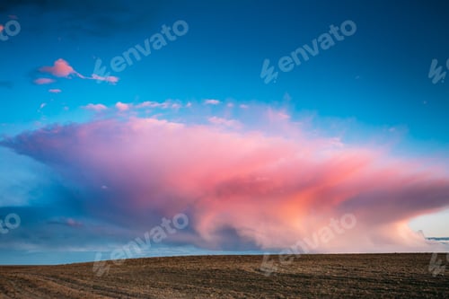 Preview: Spring Field At Evening Sunset. Morning Natural Bright Dramatic