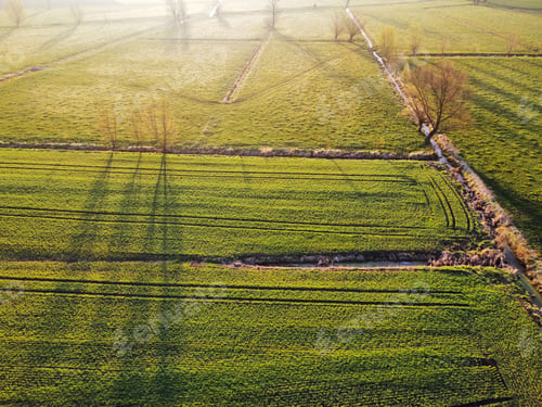 Preview: Aerial view of a spring field during sunset
