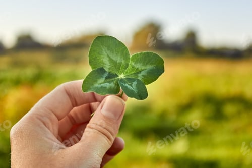 Preview: A hand holds a happy four-leaf clover against the background of nature. Clover petals.