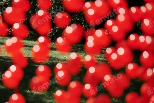 Preview: Blurred defocused red balls suspended on wire, outdoor art object symbolizing health of blood cells