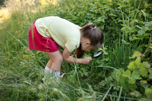 Preview: Cute little girl looking at plant through magnifying glass in nature