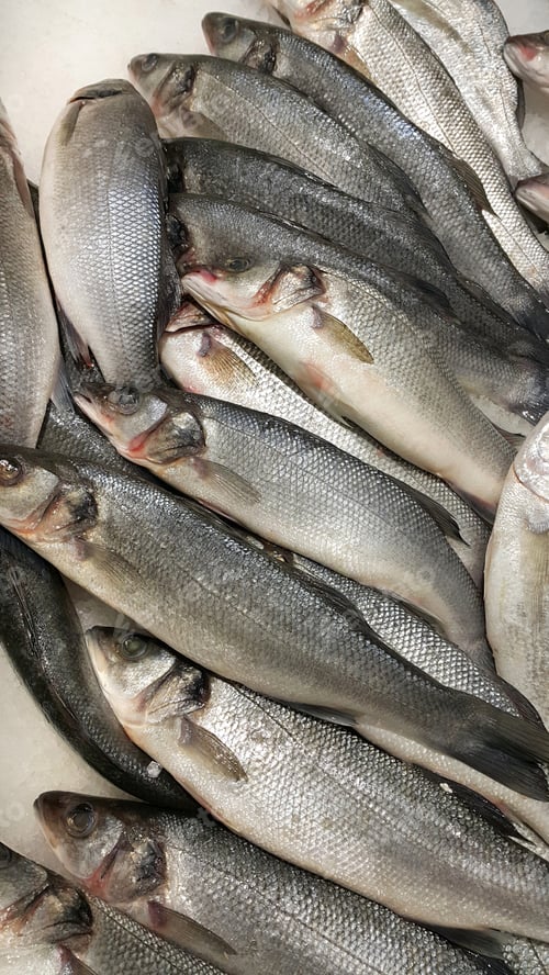 Preview: Fresh sibas fish on ice for sale in market