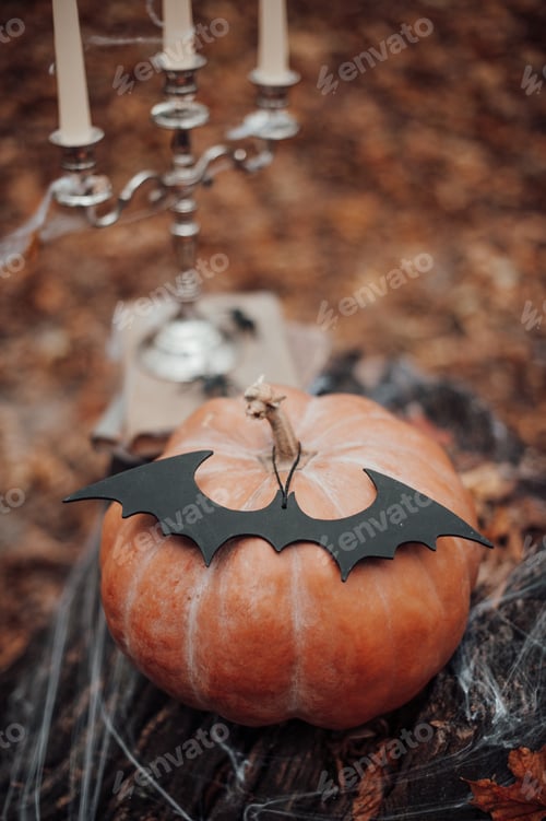 Preview: Halloween pumpkin and holiday decor at maple leaves among trees in autumn season outdoor