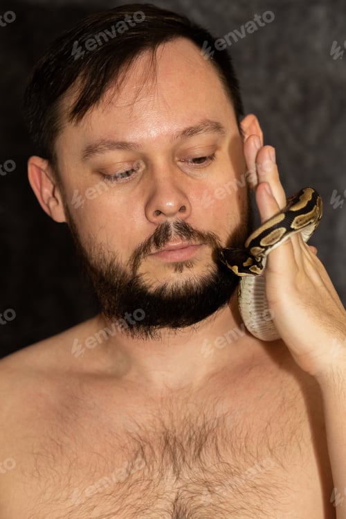 Preview: Portrait of caucasian man with Python regius snake on gray background. Selective focus