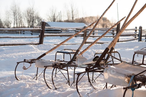 Preview: winter sleds