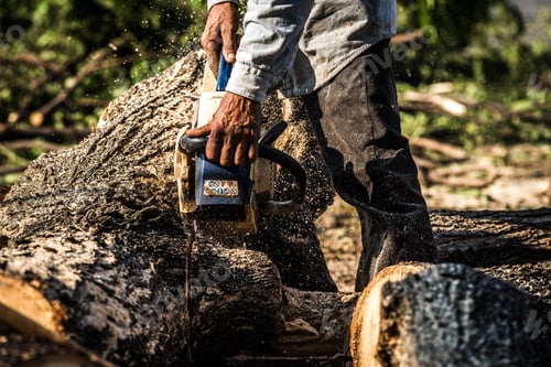 Preview: Dramatic style a logger sawing the wood by electric saw.