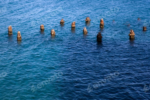 Preview: Old wooden pillars in the sea