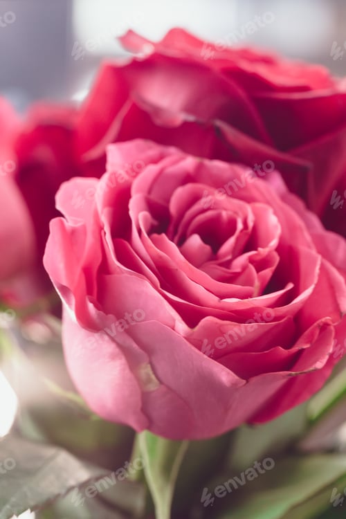 Preview: Bouquet of rose hips in vintage style