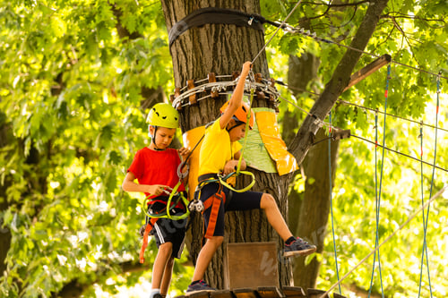 Preview: Child in forest adventure park. Kids climb on high rope trail. Agility and climbing outdoor