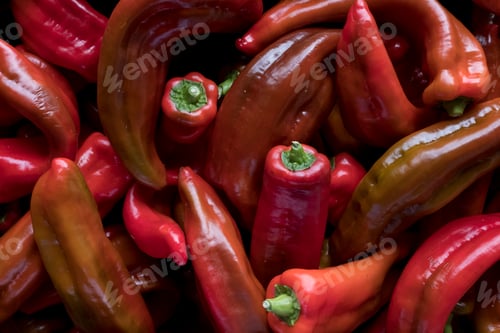 Preview: High angle close up of freshly picked red peppers.