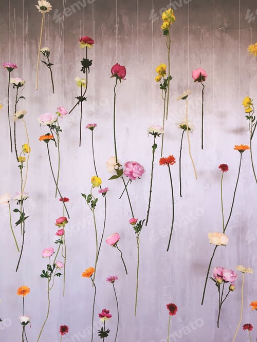Preview: The wall of flowers