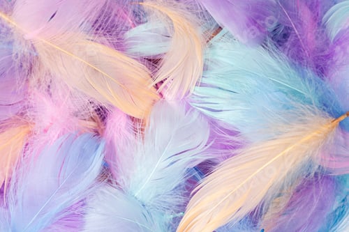 Preview: Pastel Colored Feathers