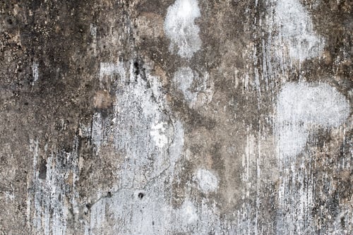 Preview: Light Gray Stucco Wall Texture. Abstract Background