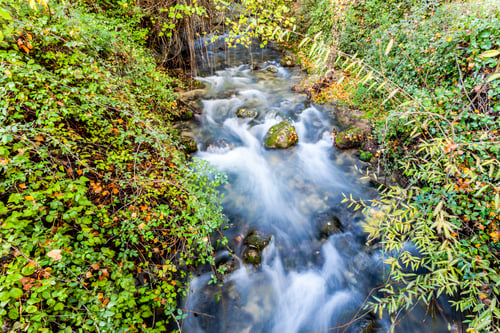Preview: River Majaceite