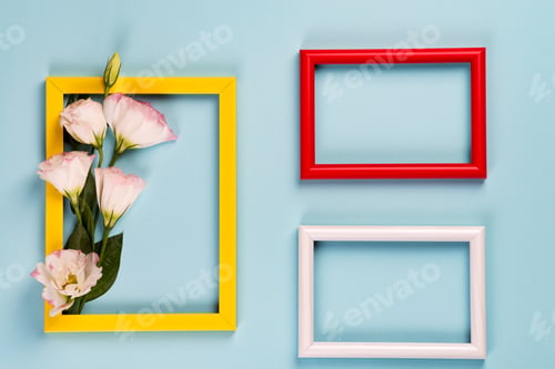 Preview: Empty yellow frame with flowers eustoma on blue paper background with copy space. Flat lay. Love