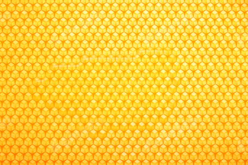 Preview: Fresh comb honey background texture