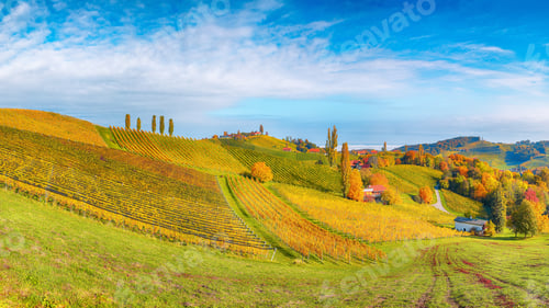 Preview: Fabulous vineyards landscape in South Styria near Gamlitz.
