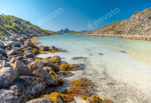 Preview: Lofoten island beach