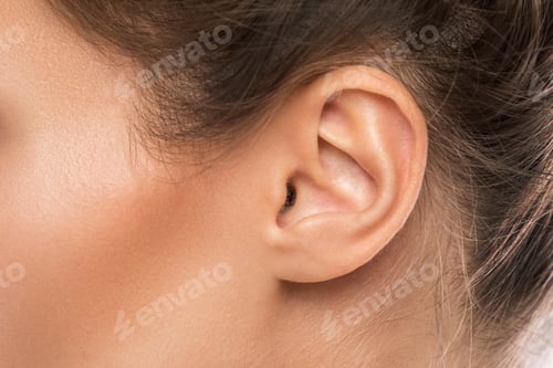 Preview: Close up macro shot of female ear