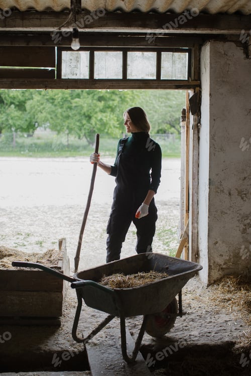 Preview: A woman worker dressed in overalls works in a cowshed on a rural farm.