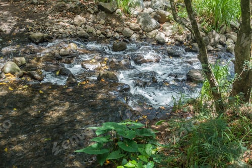 Preview: A Closeup Shot Of The Iao River In Maui, Hawaii.