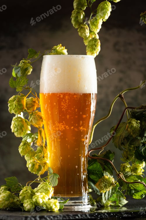 Vista previa: Glass of dark beer with hops around on a dark background