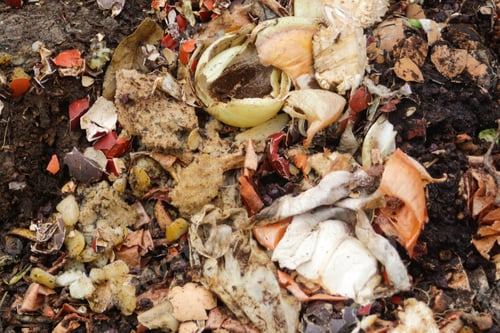 Preview: compost and composted soil cycle as a composting pile of rotting kitchen scraps with fruits and vege
