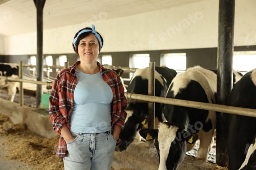 Preview: Portrait of farmer near cute cows inside cowshed in dairy farm