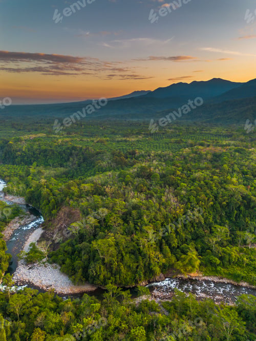 Preview: Beautiful morning view indonesia panorama landscape paddy fields