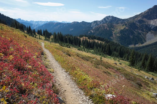 Preview: Hiking trail in the North Cascades, Pacific Crest Trail through pristine alpine wilderness, autumn,