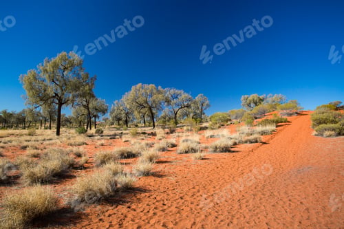 Preview: Outback Landscape in Northern Territory Australia