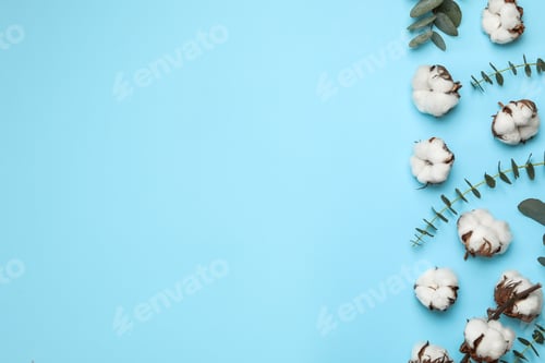 Preview: Flat lay composition with cotton flowers on blue background. Space for text