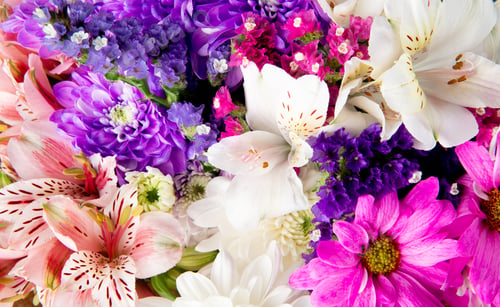 Preview: background of a bouquet of pink white and purple color statice alstroemeria