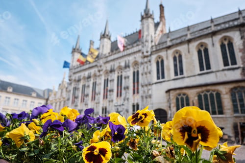 Preview: Flowers in markt square with Provincial Court