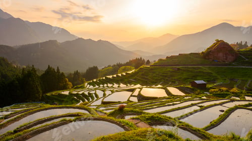 Preview: Japanese Rice Terraces in Kumano, Japan at Dusk
