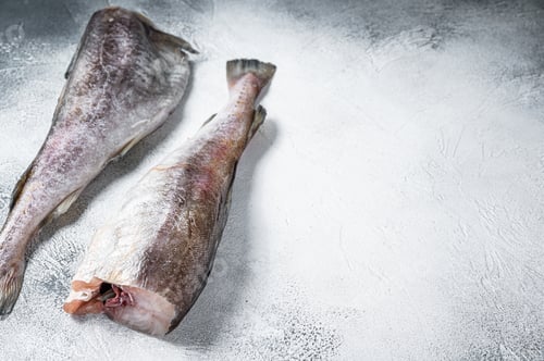 Preview: Raw cod whole fish on kitchen table. White background. Top view. Copy space