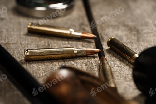 Preview: Close up of cartridges for hunting shotgun