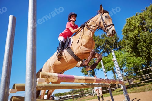 Preview: Girl on horse crossing obstacle on course