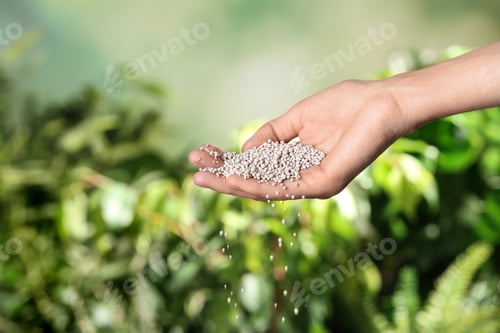 Preview: Woman pouring fertilizer on blurred background, closeup with space for text. Gardening time
