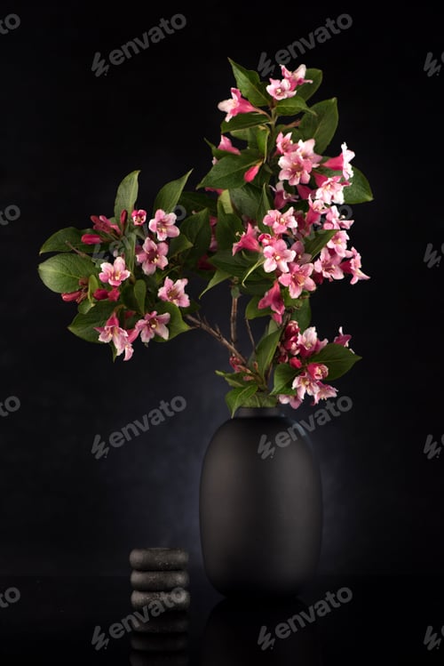 Preview: Black stones massage and beautiful pink flowers in a vase. Spa concept