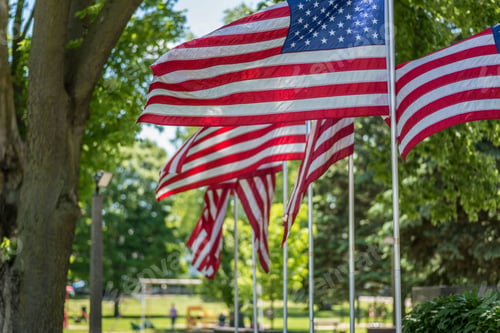 Preview: American flags waving in park